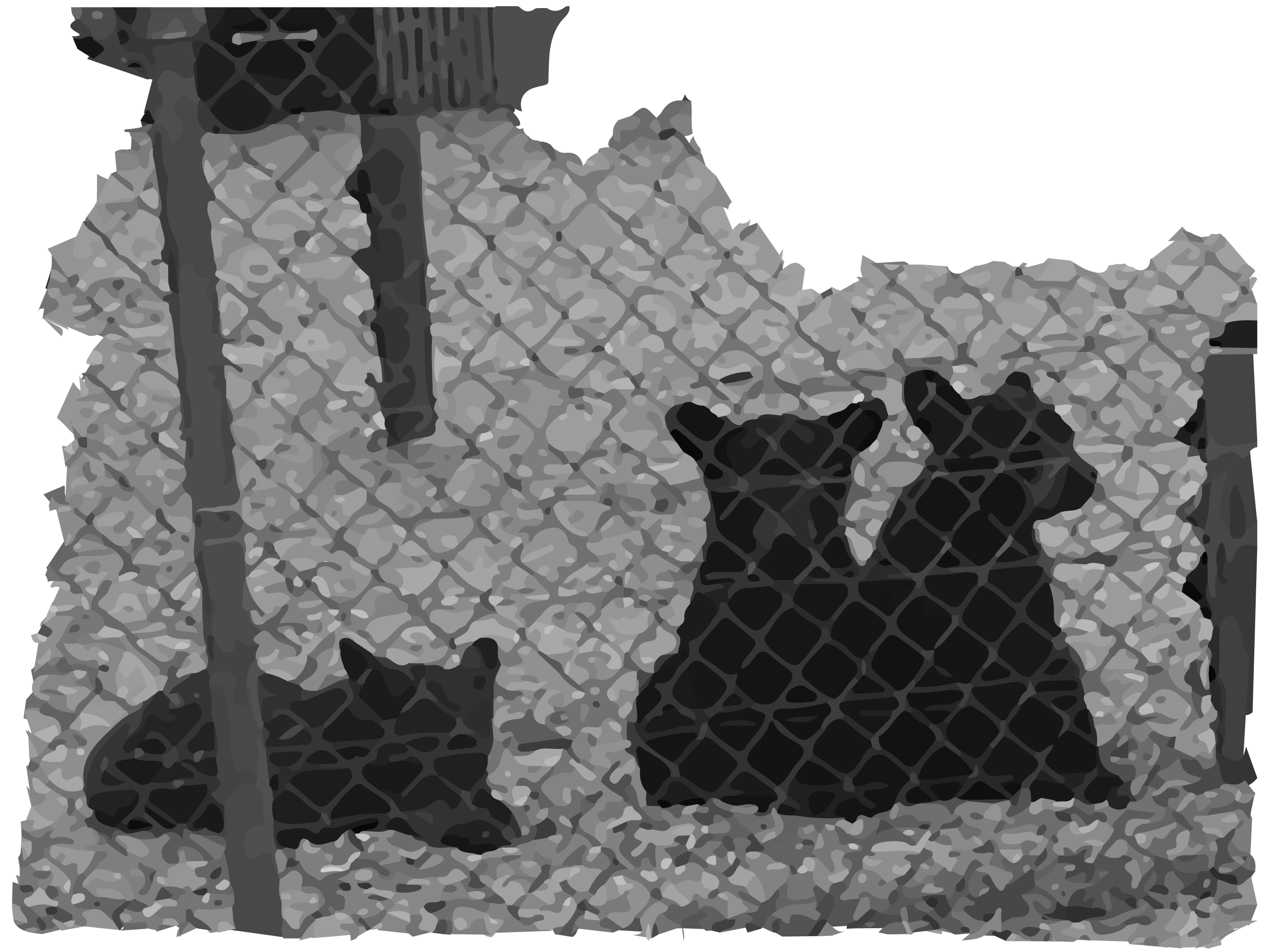 three yellowstone bear world black bear cubs waiting for public bottle feeding behind electric fence and the photo frame is in the shape of Idaho